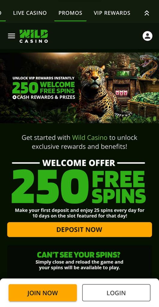 WildCasino